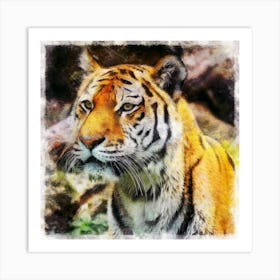 Tiger Feline Cat Predator Hunter Animal Wildlife Head Portrait Painting Nature Art Print