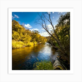 Firefly Adventure And Serenity Along Scenic River Trails 67469 Póster