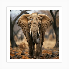 Elephant In The Wild 1 Art Print