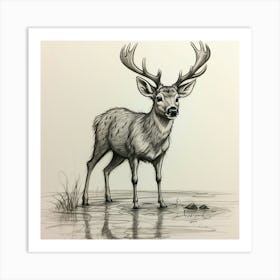 Deer In Water 12 Art Print