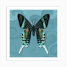 Mechanical Butterfly The Urania Leilus On A Light Blue Background Art Print