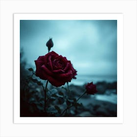 Dark Roses Art Print