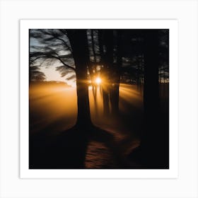 Sunrise In The Forest Art Print