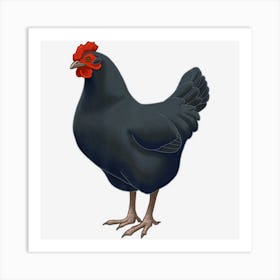 Black Australorp Hen Chicken Lover Art Print