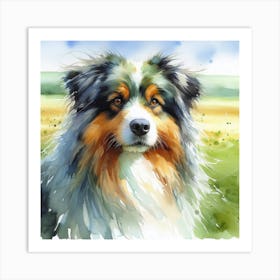 Australian Shepherd Art Print