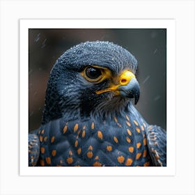 Falcon 3 Art Print