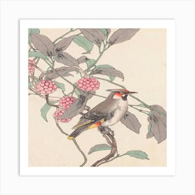 Chinese Woodpecker Art Print