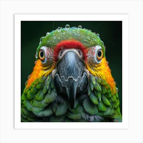 Parrot 21 Art Print