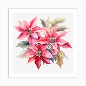 Poinsettia 27 Art Print