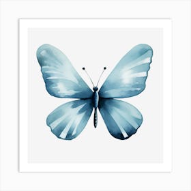 Blue Butterfly Art Print