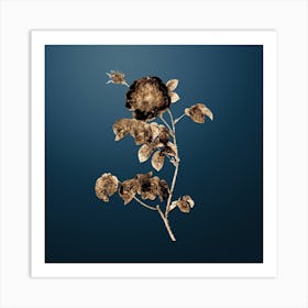 Gold Botanical Rose on Dusk Blue n.0721 Art Print
