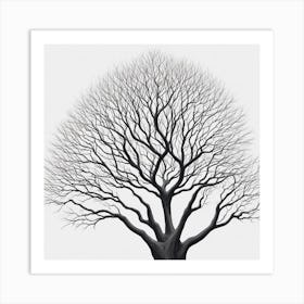 Bare Tree Art Print