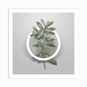 Vintage Firetree Branch Plant Minimalist Flower Geometric Circle on Soft Gray n.0269 Art Print