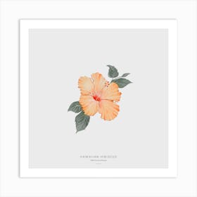 Hawaiian Hibiscus Off White Square Art Print