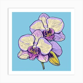 Orchids 19 Art Print