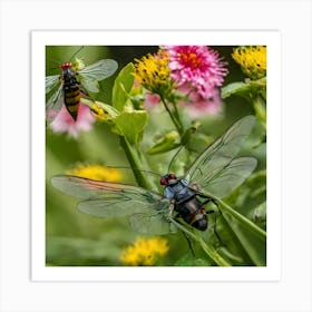 Two Beetles On A Flower Art Print