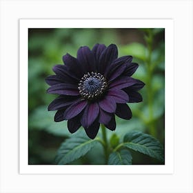 Dark Purple Flower Art Print