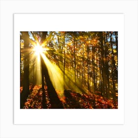 Autumn Forest Art Print