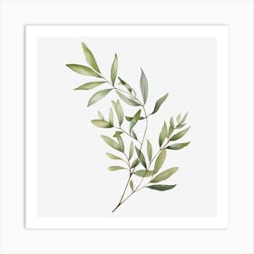 Eucalyptus Branch Art Print