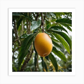 Mango Photo Taken By Sony A7 Iv 2998264445 Art Print