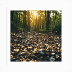 Forest Path At Sunset Art Print