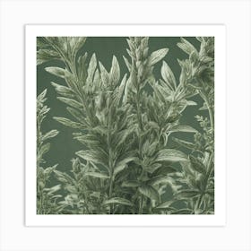 Sage background Art Print