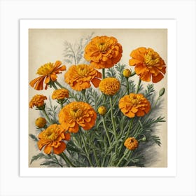 Orange Marigolds Art Print