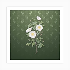 Vintage White Burnet Roses Botanical on Lunar Green Pattern n.2240 Art Print