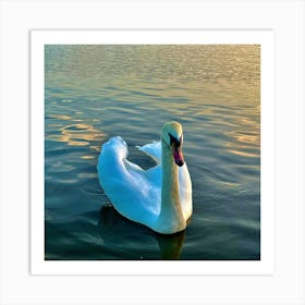 Swan In The Water Art Print