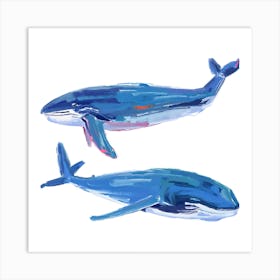 Blue Whale 02 Art Print