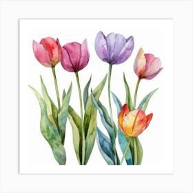 Watercolor Tulips 2 Art Print