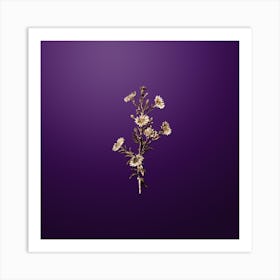 Gold Botanical Glaucous Aster Flower on Royal Purple n.2074 Art Print