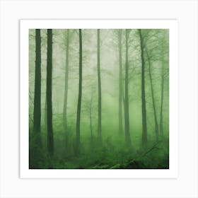 Misty Forest 1 Art Print