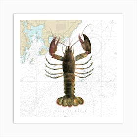 American Lobster By James Ellsworth De Kay On Maine Nautical Chart Art Print