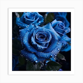 Blue Roses 1 Póster