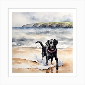 Black Labrador enjoying the waves Art Print