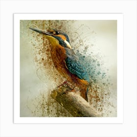 Alcedo Atthis Art Print