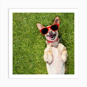 Dog Wearing Sunglasses On The Grass Art Print