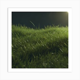 Grass Field At Night Art Print