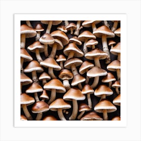 Many Mushrooms On A Black Background 2 Art Print