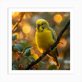 Yellow Budgie Art Print