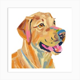 Labrador Retriever 02 Art Print