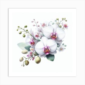 Orchid Art Print