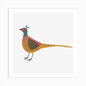 Pheasant Art Print