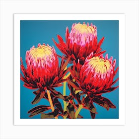 Protea 3 Pop Art Illustration Square Art Print