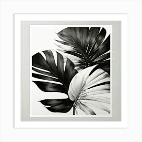 Black And White Tropical Leaves Print Art Print