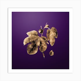 Gold Botanical Briansole Figs on Royal Purple n.0208 Art Print