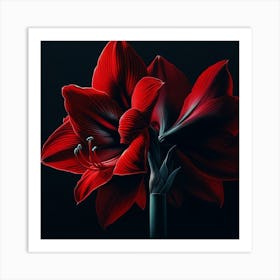 "Midnight Blossom"  A striking red amaryllis blooms against a stark black backdrop, its petals a vivid dance of shadow and ruby light. This digital artwork captures the essence of nature's drama, its colors a bold statement of beauty in the darkness.  Discover the allure of 'Midnight Blossom', where the captivating beauty of a red amaryllis is rendered with exquisite detail, creating an elegant piece perfect for adding a touch of sophistication to any space. Art Print