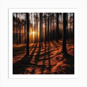 Sunset In The Forest 19 Art Print