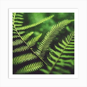 Fern Leaf 2 Art Print